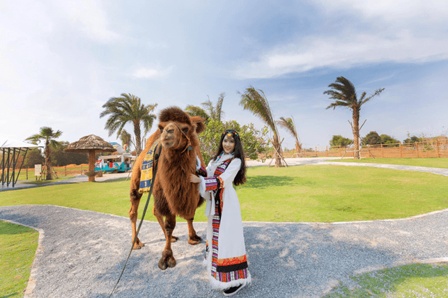 Ảnh slide minh họa 2